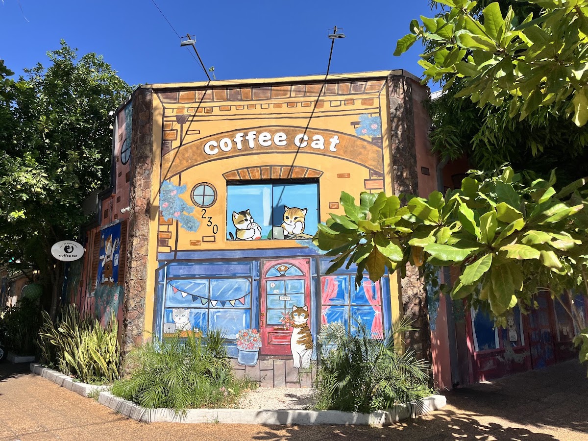Coffee Cat in Asunción