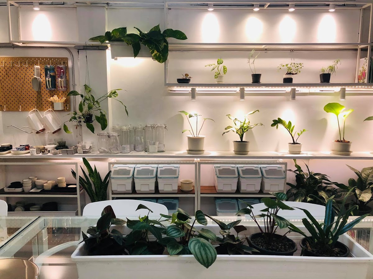 Plant workshop cafe in Bangkok