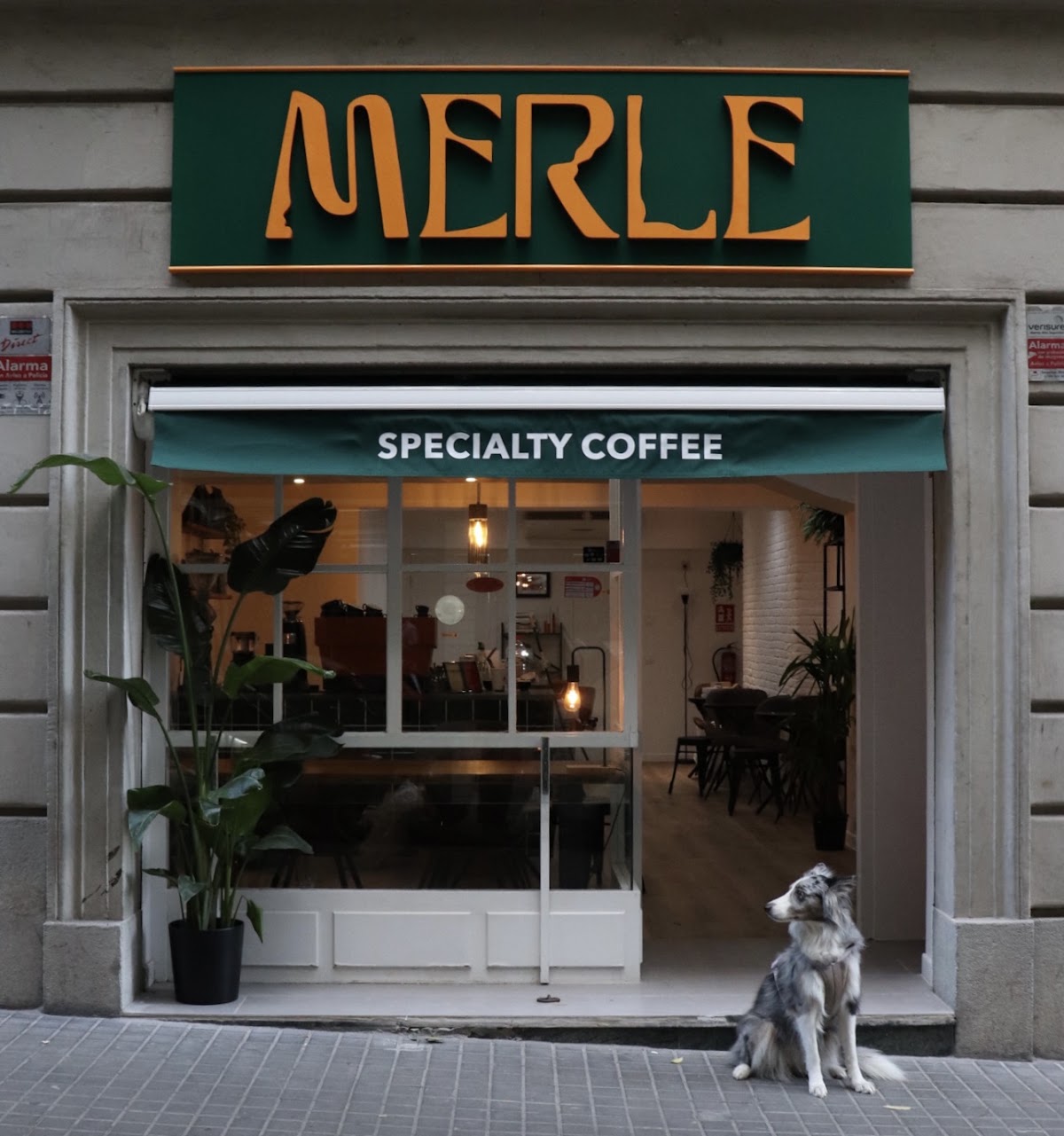 Merle Coffee