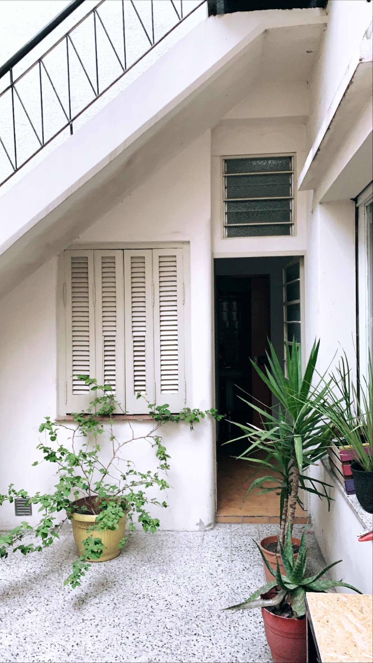 Cactus Coliving Palermo