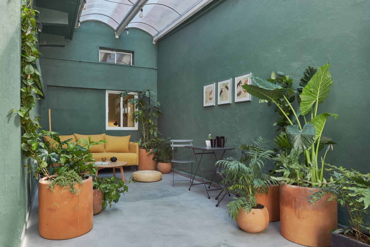 Covive: Coliving Condesa CDMX - Casa Amatlán in Cancún