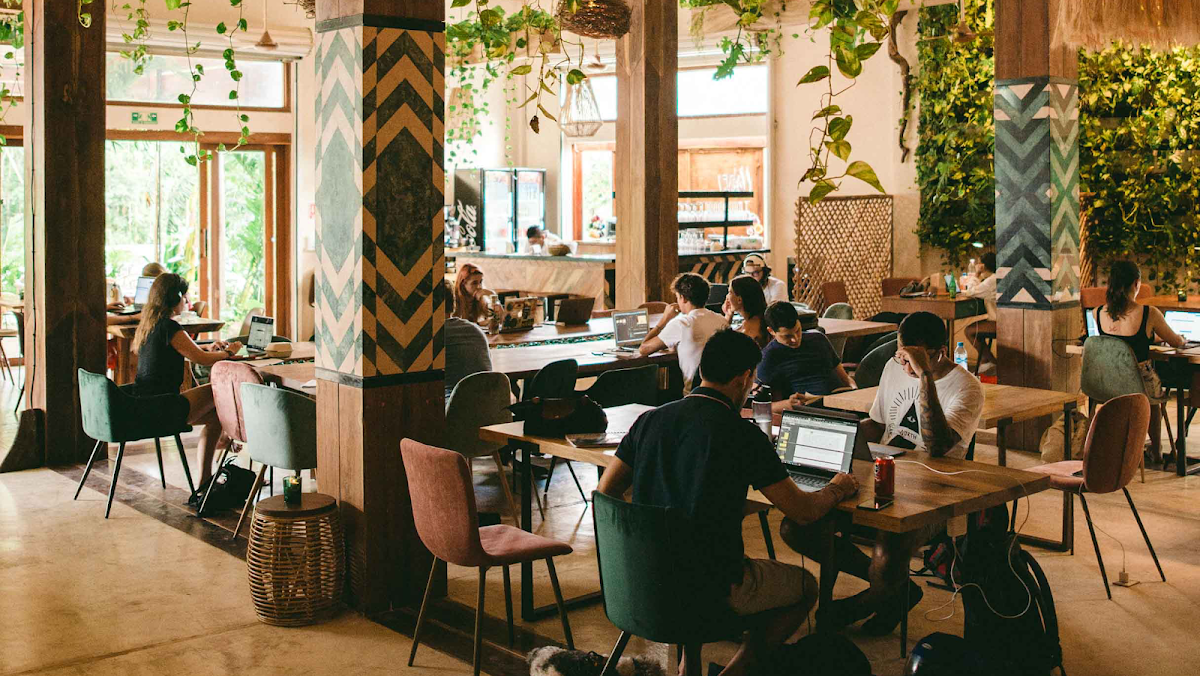 Digital Jungle | Coworking in Tulum in Cancún