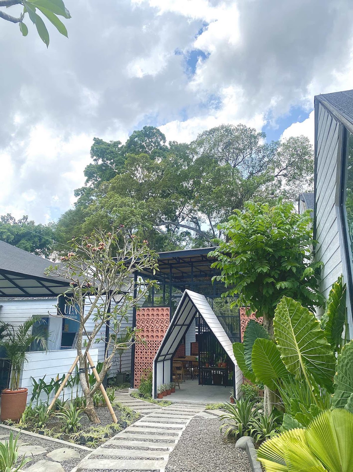 The Jungle Hostel Canggu