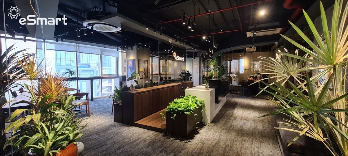 eSmart - Bạch Đằng Complex in Da Nang