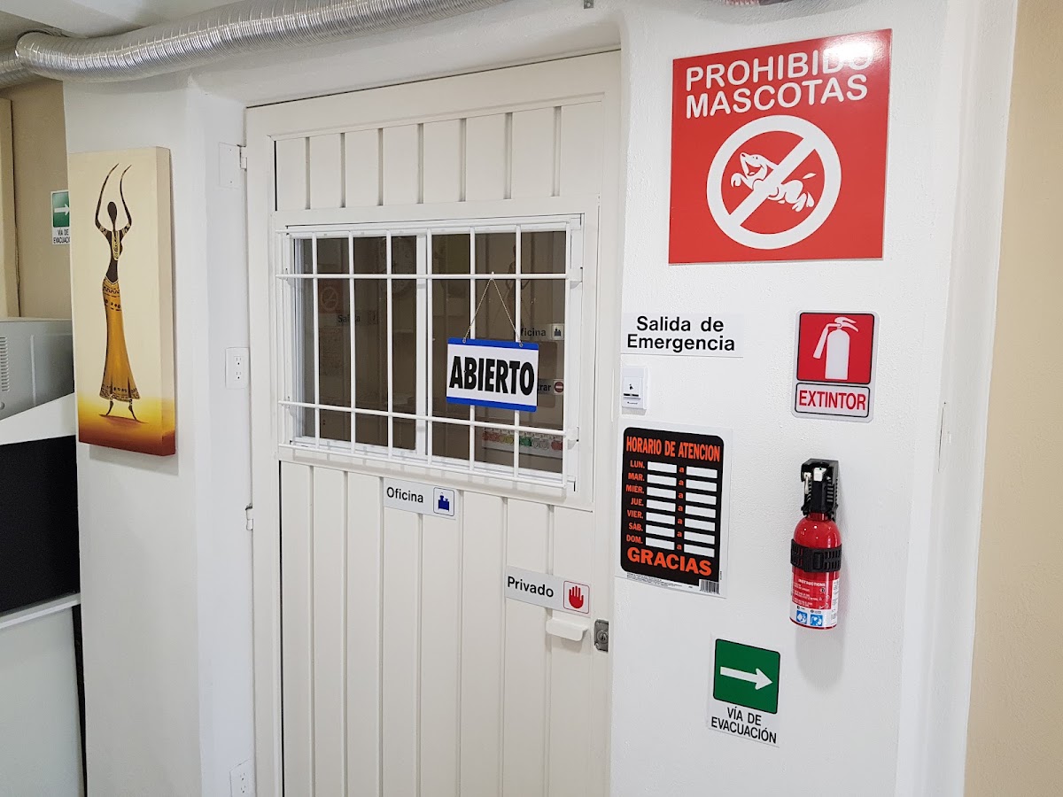 COLIVING AÉREO in Mexico City