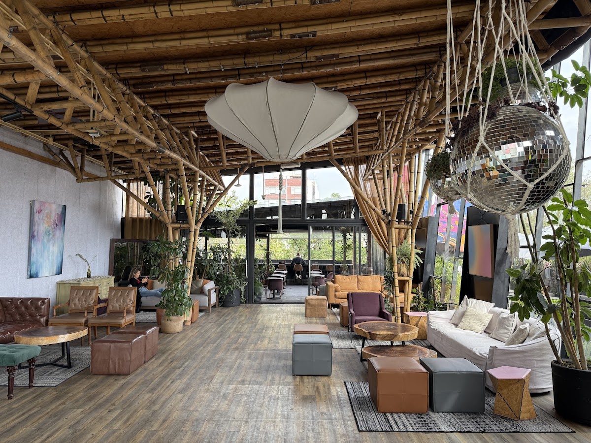 Haab Project Condesa