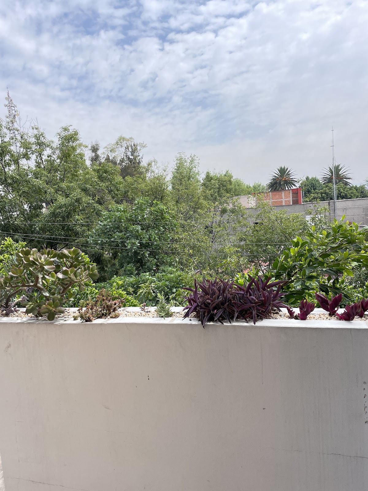 Nest Coliving in Mexico City