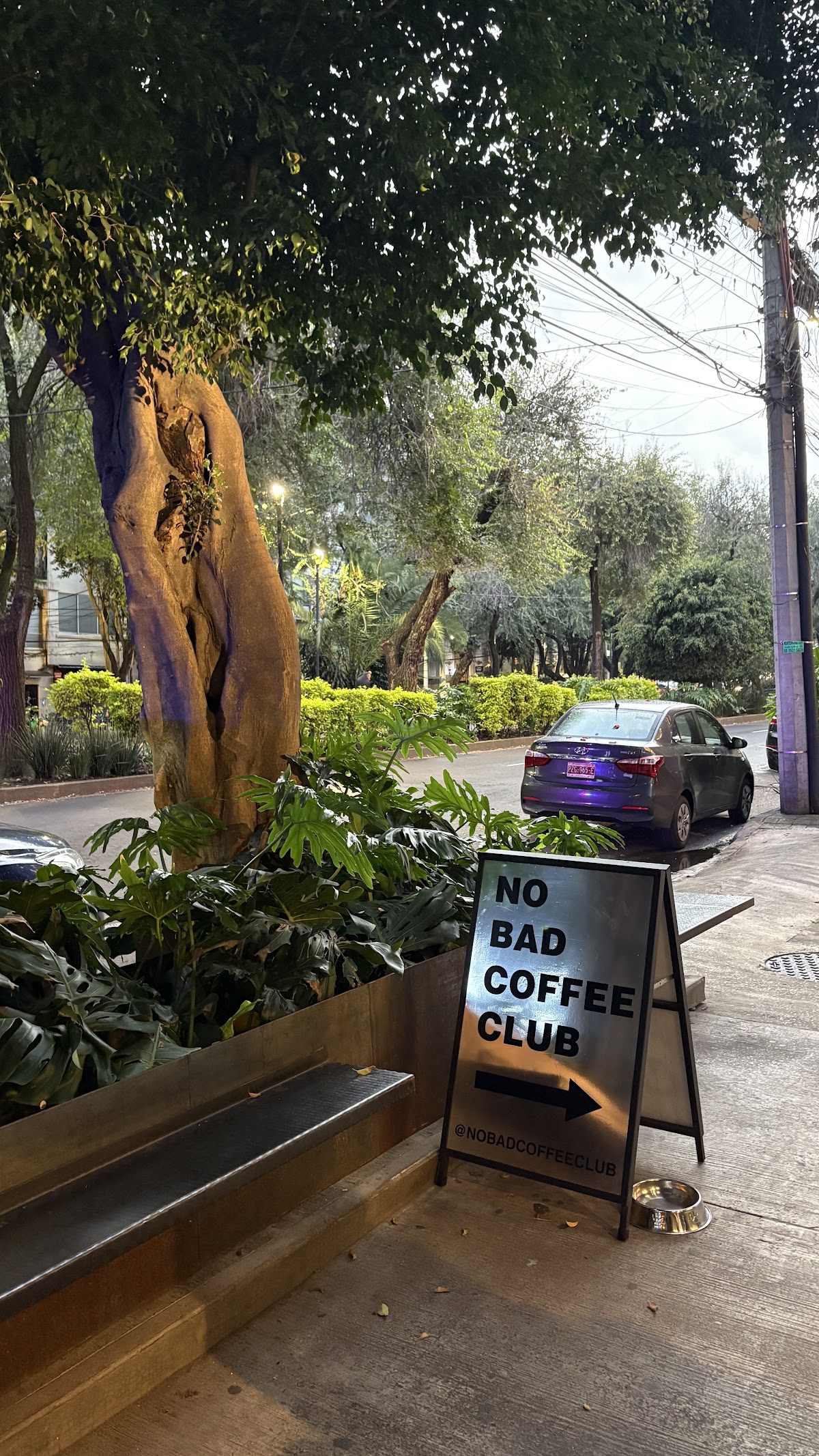 NO BAD COFFEE CLUB in Mexico City