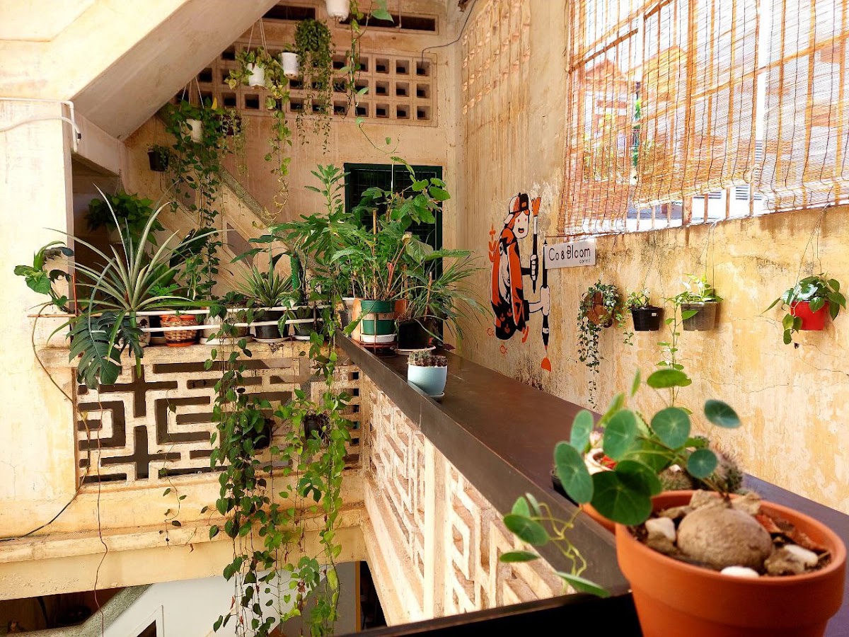 Co & Bloom Coffee in Phnom Penh
