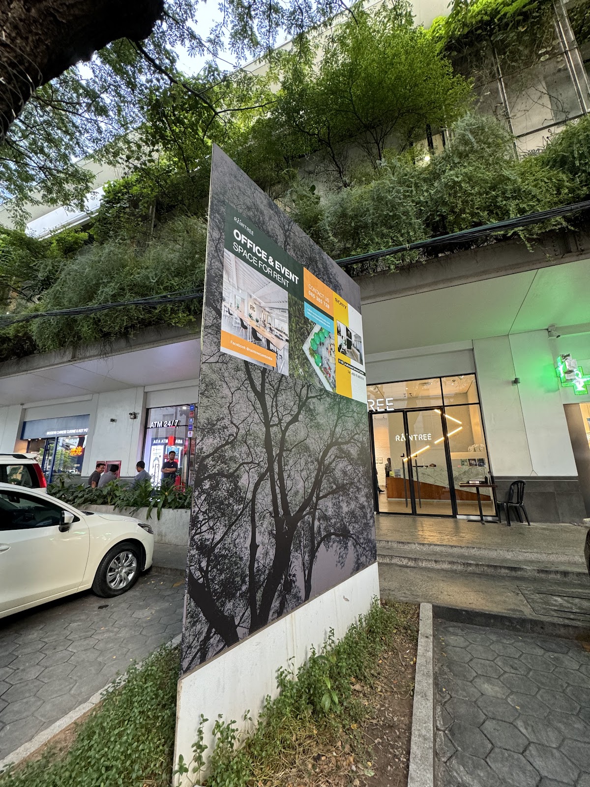Raintree